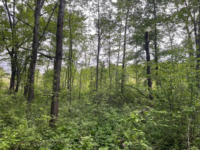 $449,900 | Xxx Xxx Crust Road, Brainerd, MN 56401