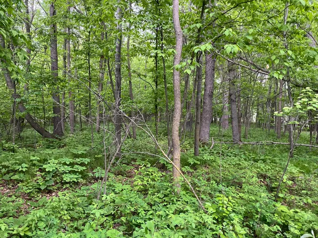 $449,900 | Xxx Xxx Crust Road, Brainerd, MN 56401