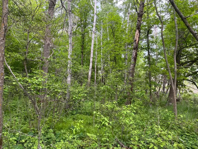 $449,900 | Xxx Xxx Crust Road, Brainerd, MN 56401