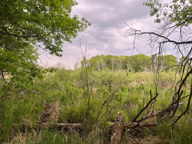 $449,900 | Xxx Xxx Crust Road, Brainerd, MN 56401