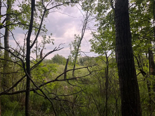 $449,900 | Xxx Xxx Crust Road, Brainerd, MN 56401