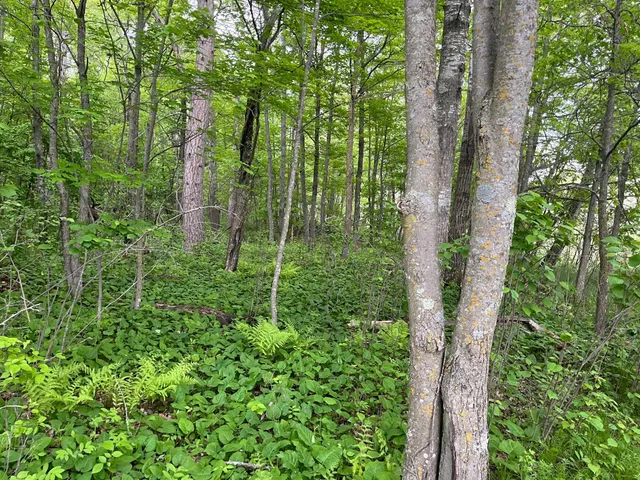 $449,900 | Xxx Xxx Crust Road, Brainerd, MN 56401