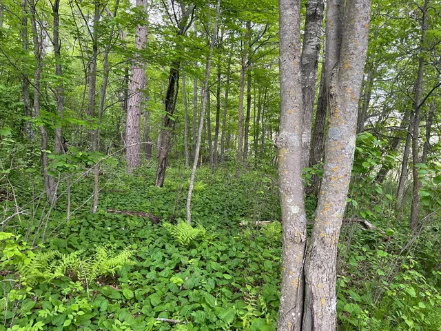 $449,900 | Xxx Xxx Crust Road, Brainerd, MN 56401