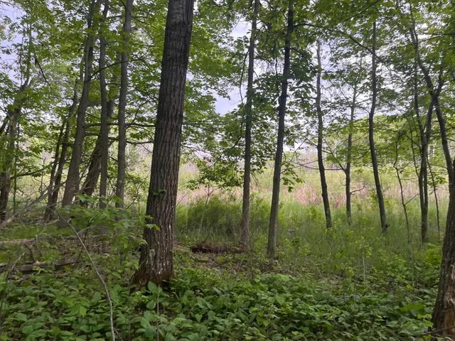 $449,900 | Xxx Xxx Crust Road, Brainerd, MN 56401