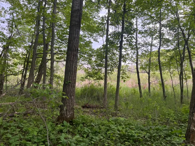 $449,900 | Xxx Xxx Crust Road, Brainerd, MN 56401