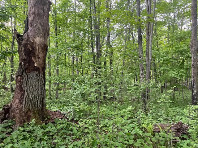 $449,900 | Xxx Xxx Crust Road, Brainerd, MN 56401