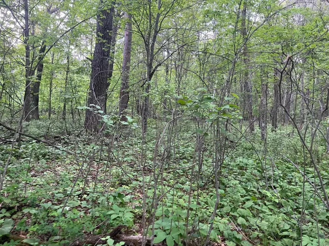 $449,900 | Xxx Xxx Crust Road, Brainerd, MN 56401