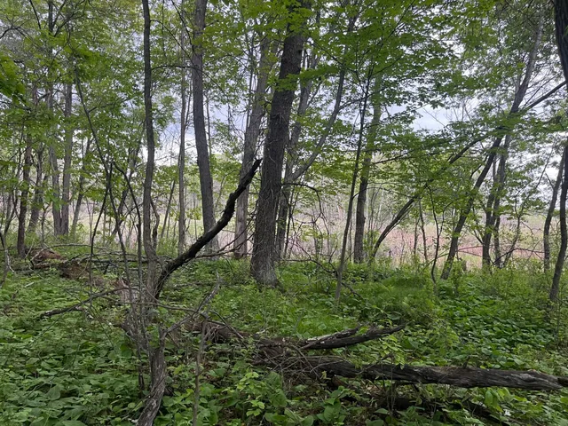 $449,900 | Xxx Xxx Crust Road, Brainerd, MN 56401