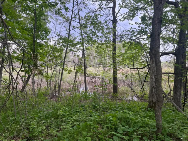 $449,900 | Xxx Xxx Crust Road, Brainerd, MN 56401