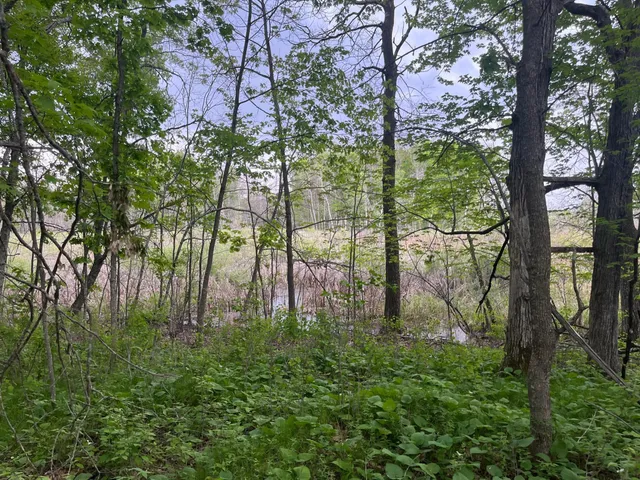 $449,900 | Xxx Xxx Crust Road, Brainerd, MN 56401