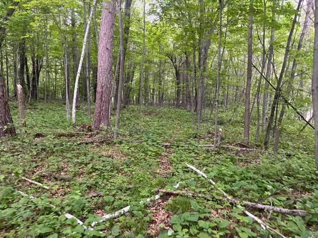 $449,900 | Xxx Xxx Crust Road, Brainerd, MN 56401