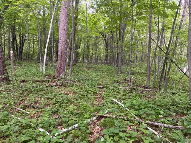 $449,900 | Xxx Xxx Crust Road, Brainerd, MN 56401