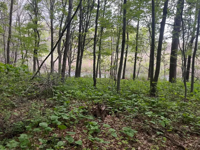 $449,900 | Xxx Xxx Crust Road, Brainerd, MN 56401