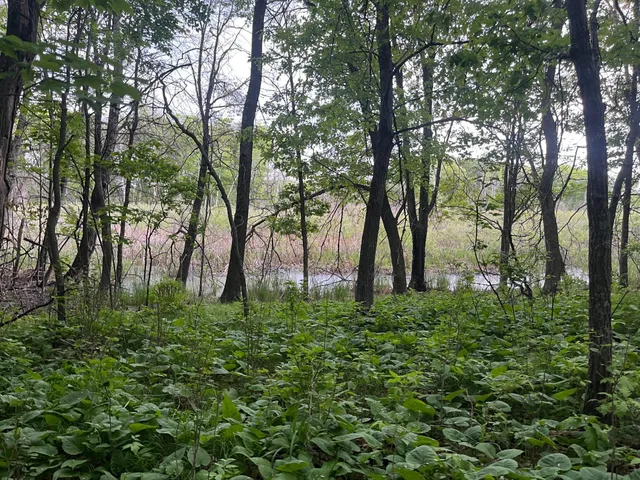 $449,900 | Xxx Xxx Crust Road, Brainerd, MN 56401