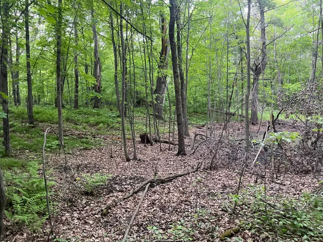 $449,900 | Xxx Xxx Crust Road, Brainerd, MN 56401