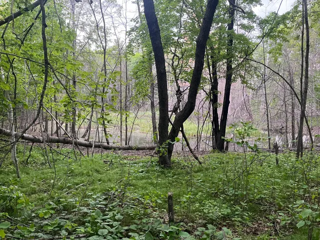 $449,900 | Xxx Xxx Crust Road, Brainerd, MN 56401