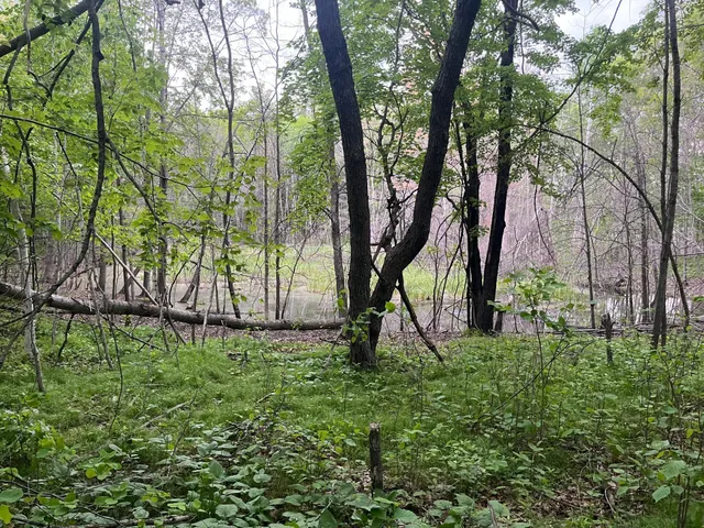 $449,900 | Xxx Xxx Crust Road, Brainerd, MN 56401