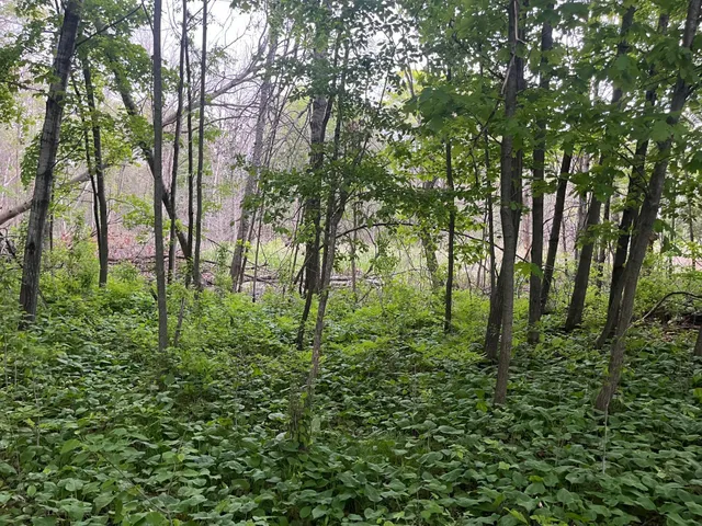 $449,900 | Xxx Xxx Crust Road, Brainerd, MN 56401