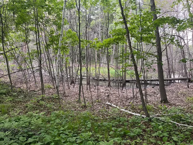 $449,900 | Xxx Xxx Crust Road, Brainerd, MN 56401