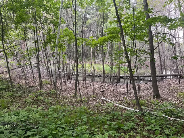 $449,900 | Xxx Xxx Crust Road, Brainerd, MN 56401