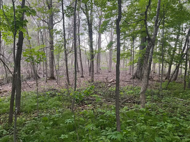 $449,900 | Xxx Xxx Crust Road, Brainerd, MN 56401