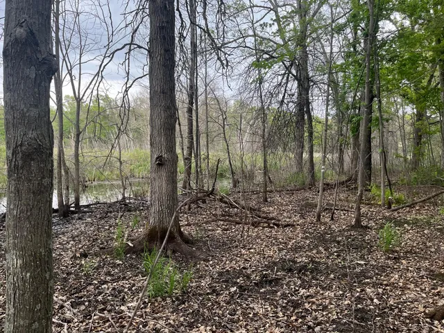 $449,900 | Xxx Xxx Crust Road, Brainerd, MN 56401