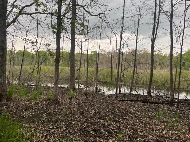 $449,900 | Xxx Xxx Crust Road, Brainerd, MN 56401