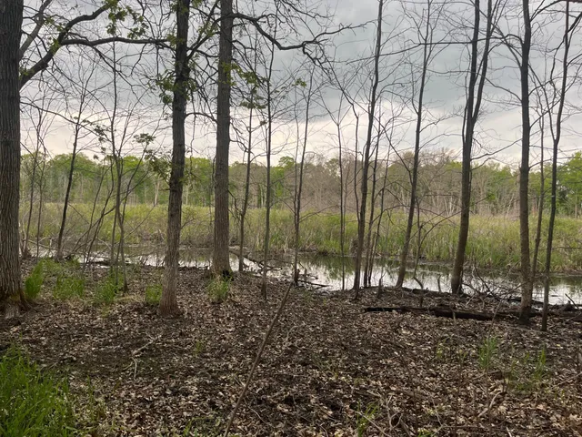 $449,900 | Xxx Xxx Crust Road, Brainerd, MN 56401