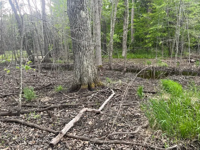 $449,900 | Xxx Xxx Crust Road, Brainerd, MN 56401