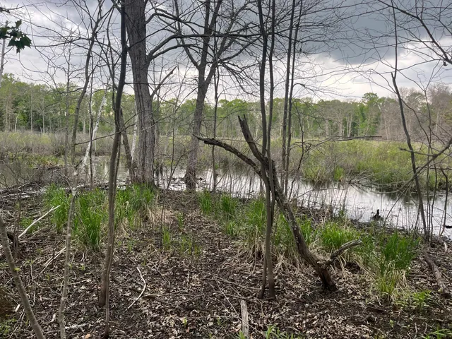 $449,900 | Xxx Xxx Crust Road, Brainerd, MN 56401