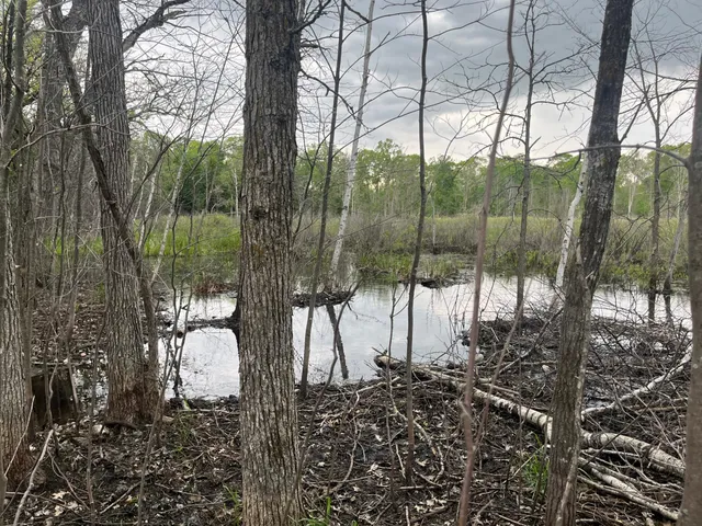 $449,900 | Xxx Xxx Crust Road, Brainerd, MN 56401