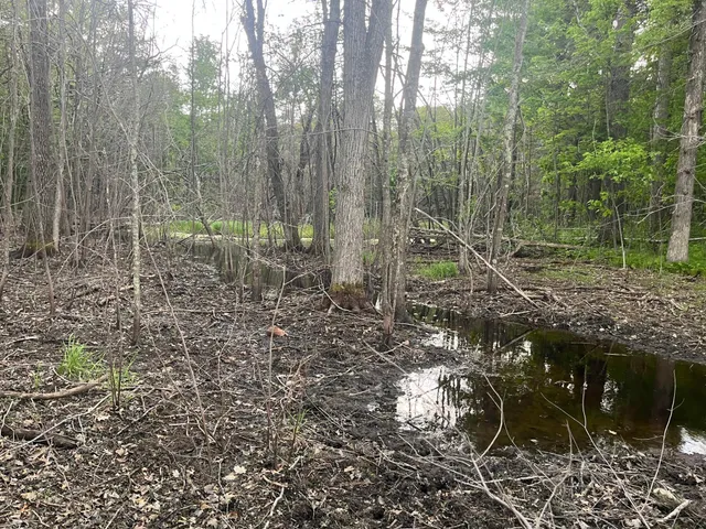 $449,900 | Xxx Xxx Crust Road, Brainerd, MN 56401