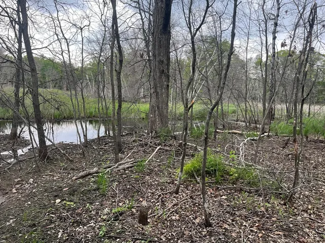 $449,900 | Xxx Xxx Crust Road, Brainerd, MN 56401