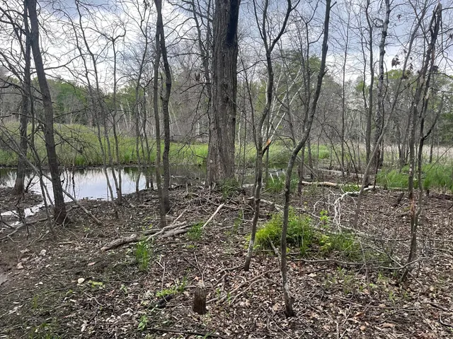 $449,900 | Xxx Xxx Crust Road, Brainerd, MN 56401