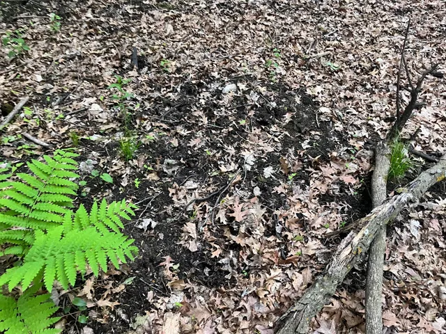 $449,900 | Xxx Xxx Crust Road, Brainerd, MN 56401