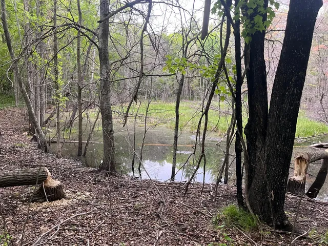 $449,900 | Xxx Xxx Crust Road, Brainerd, MN 56401