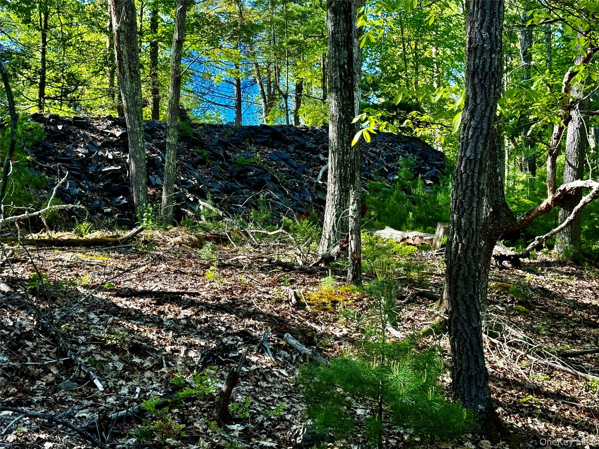 101 Stone Road Hurley, NY 12491 - Photo 18 of 24 a view of outdoor space and tree