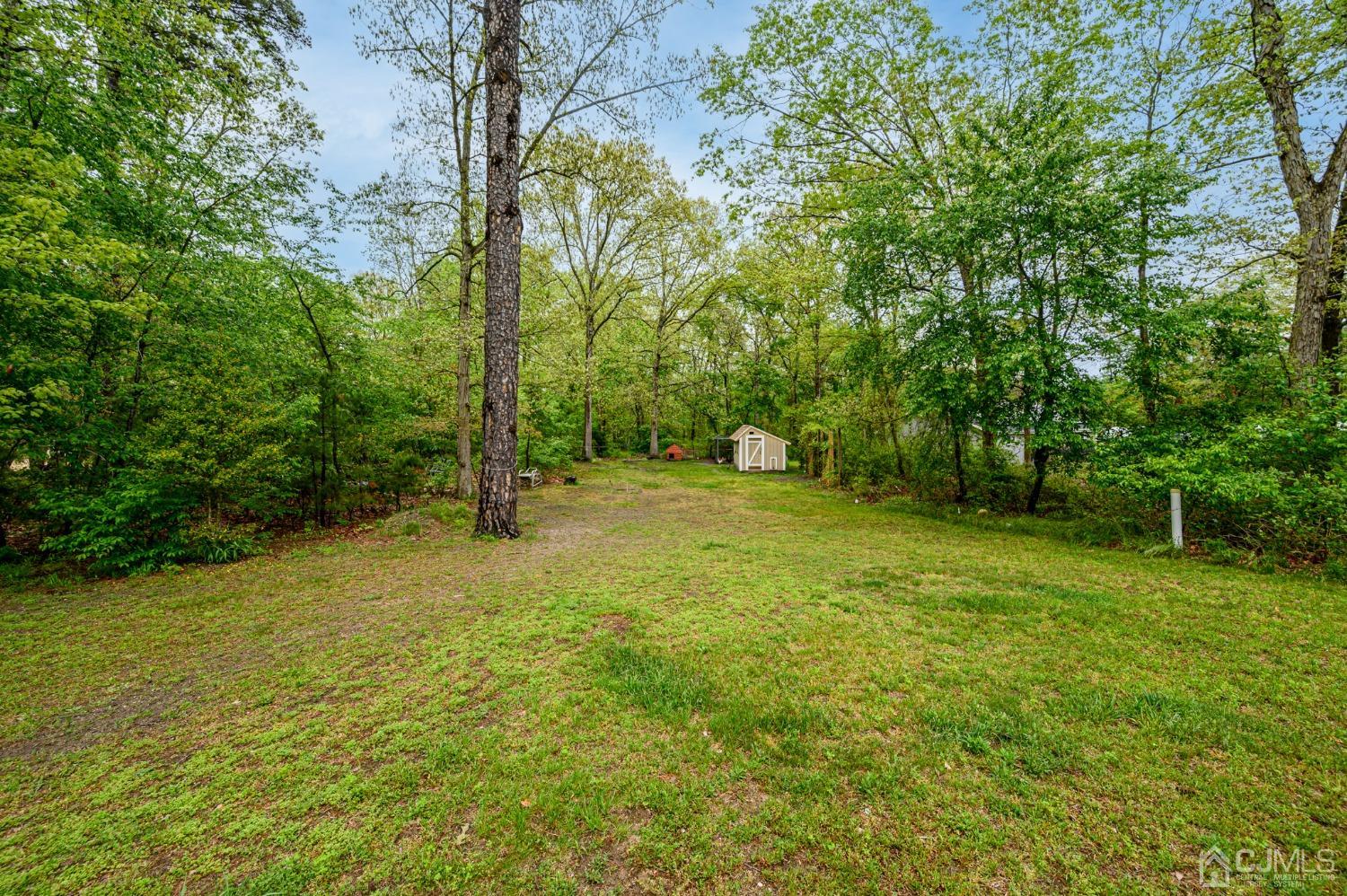 439 Cassville Road Jackson, NJ 08527 - Photo 44 of 45 a view of a field with trees in the background