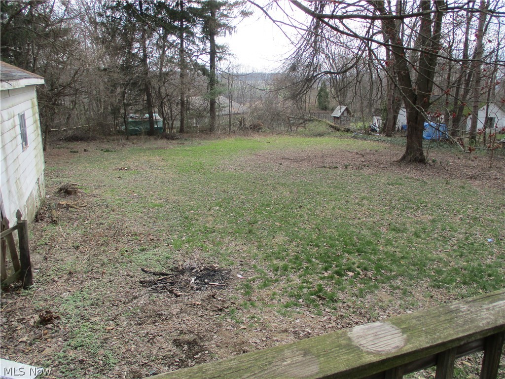 14831 Calaboone Road Doylestown, OH 44230 - Photo 5 of 14 View of yard