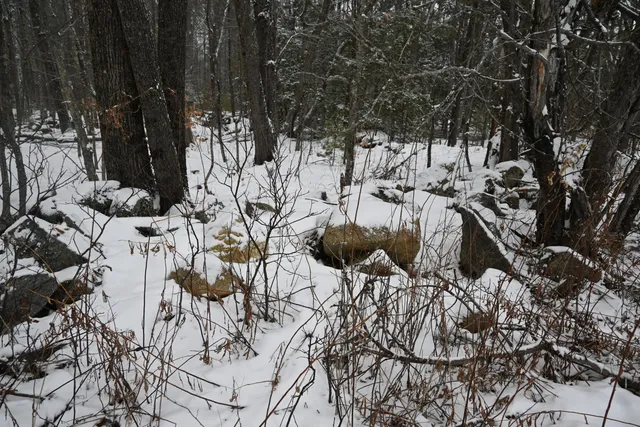 $93,000 | 20 Copper Rdg Road, Greene, ME 04236