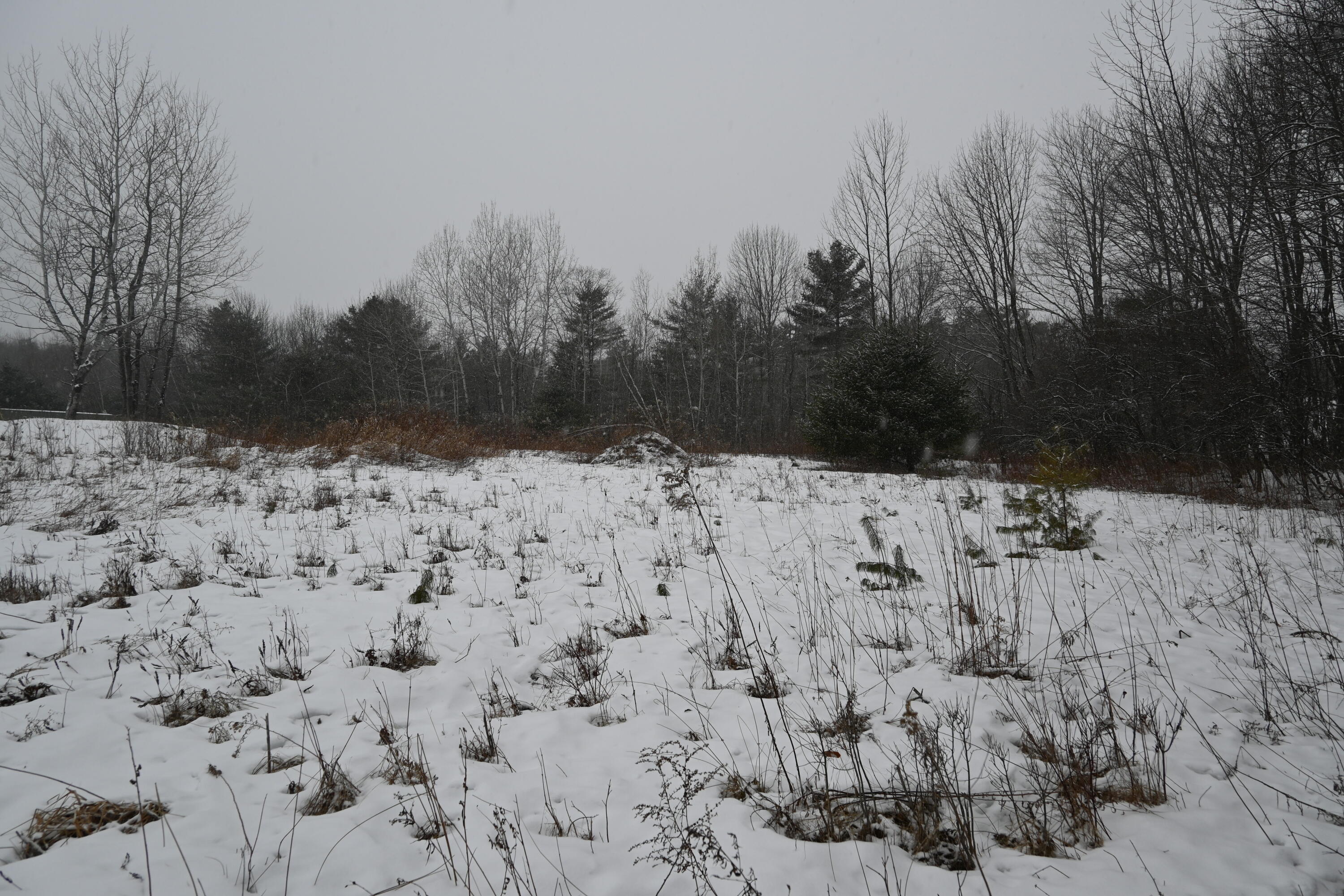 20 Copper Rdg Road Greene, ME 04236 - Photo 12 of 16 28B95223-84FA-4FC5-9A85-0DA8AC7E208B