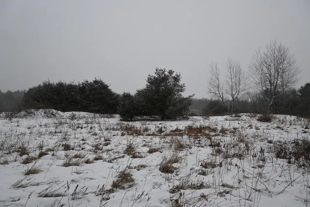 $93,000 | 20 Copper Rdg Road, Greene, ME 04236