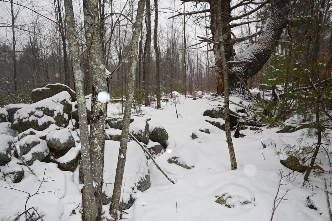 20 Copper Rdg Road Greene, ME 04236 - Photo 14 of 16 5E75259E-7D50-44ED-8730-BC0E765E74E0_1_1