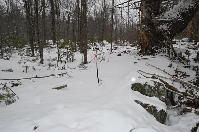 $93,000 | 20 Copper Rdg Road, Greene, ME 04236