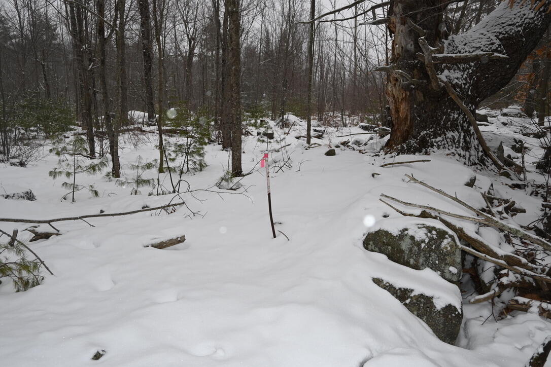 20 Copper Rdg Road Greene, ME 04236 - Photo 15 of 16 11CA0A0C-8EEF-4506-A013-1D84599FF4CD_1_1