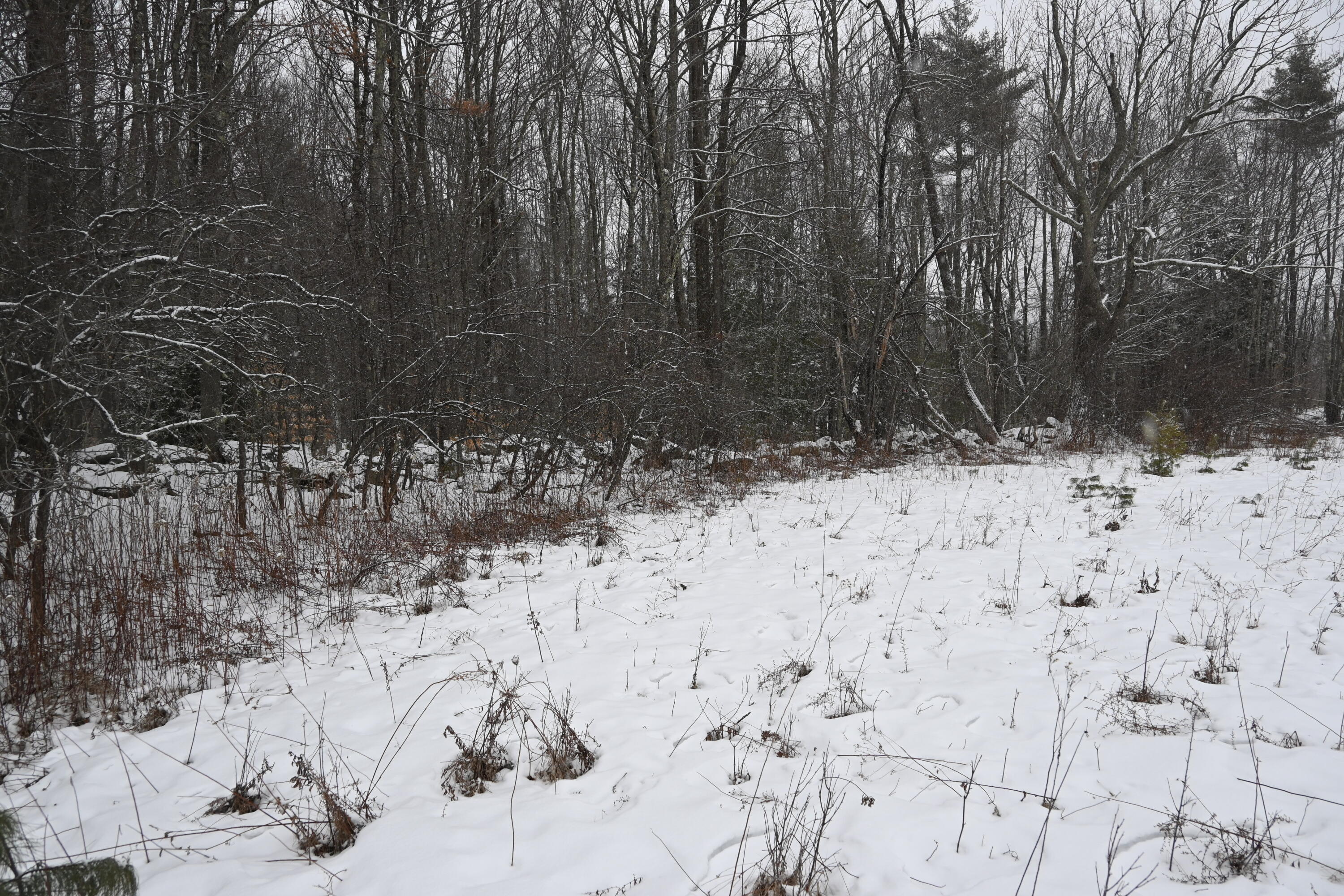 20 Copper Rdg Road Greene, ME 04236 - Photo 9 of 16 81B767B5-F468-4A57-937E-8C9EC33F2E0D