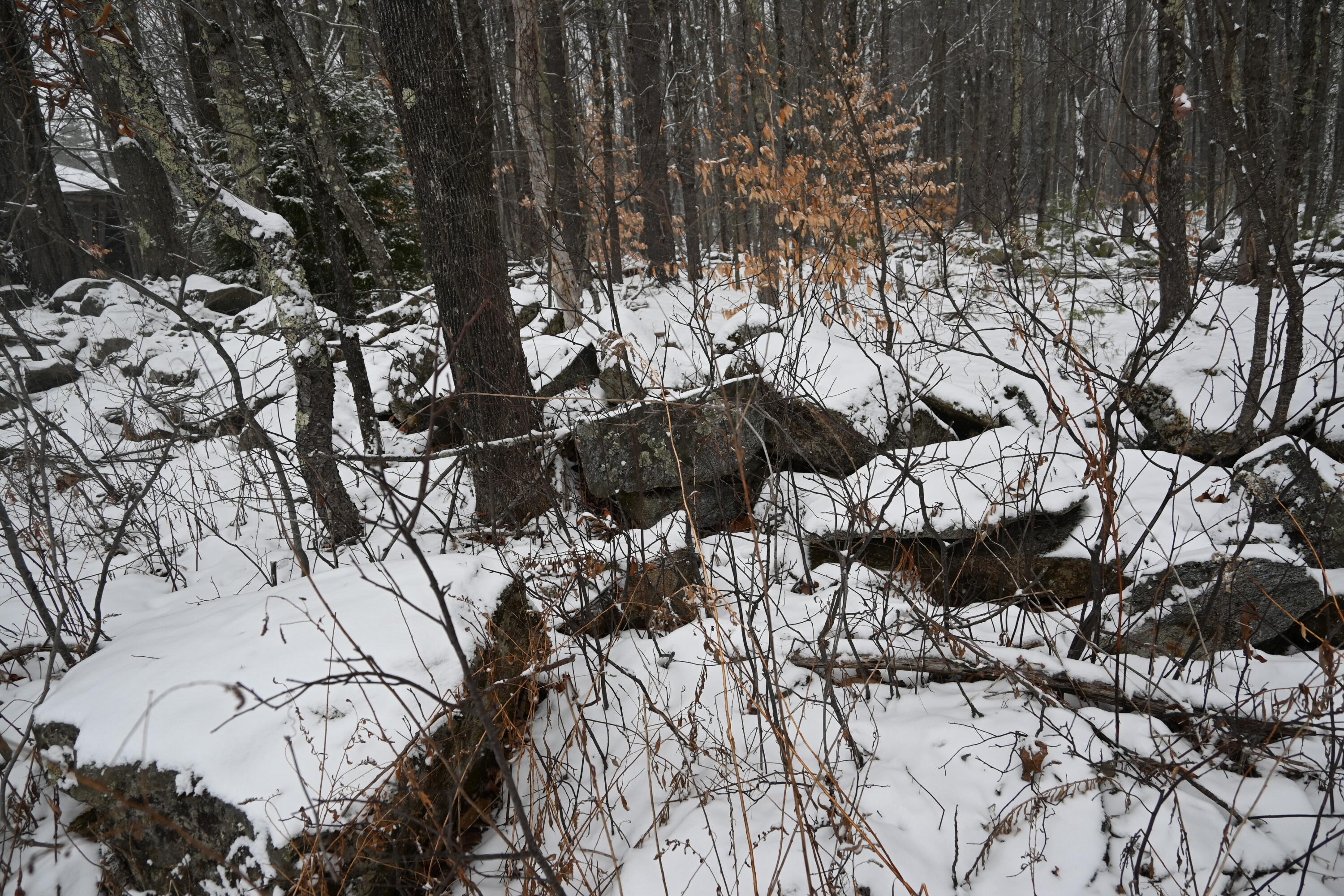 20 Copper Rdg Road Greene, ME 04236 - Photo 10 of 16 0B810824-409D-4BA0-87A8-1570CDDF3E19