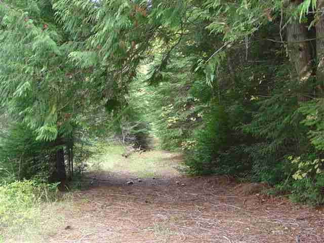 0 Lucky Joe Mine Road Newport, WA 99156 - Photo 1 of 9 Gallery Image 1