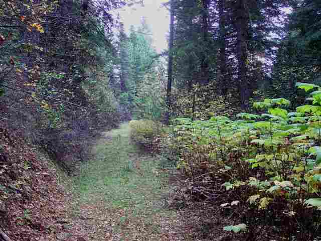 0 Lucky Joe Mine Road Newport, WA 99156 - Photo 3 of 9 Gallery Image 3