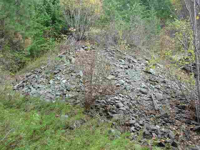 0 Lucky Joe Mine Road Newport, WA 99156 - Photo 5 of 9 Gallery Image 5